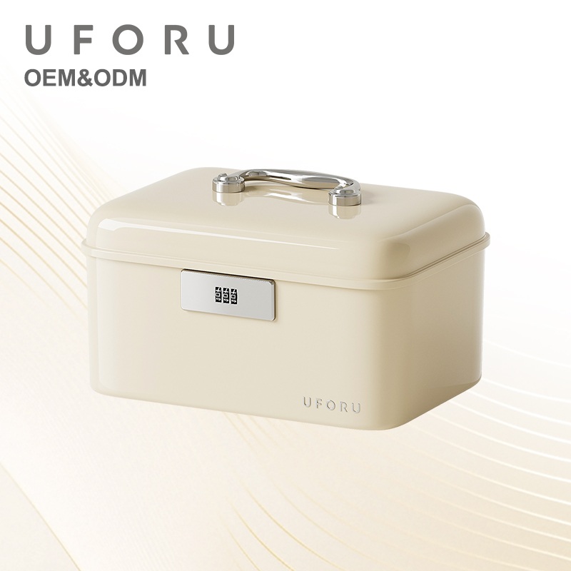 Home Security Box - UFORU Opbergbox met handvat, afsluitbaar, dubbele