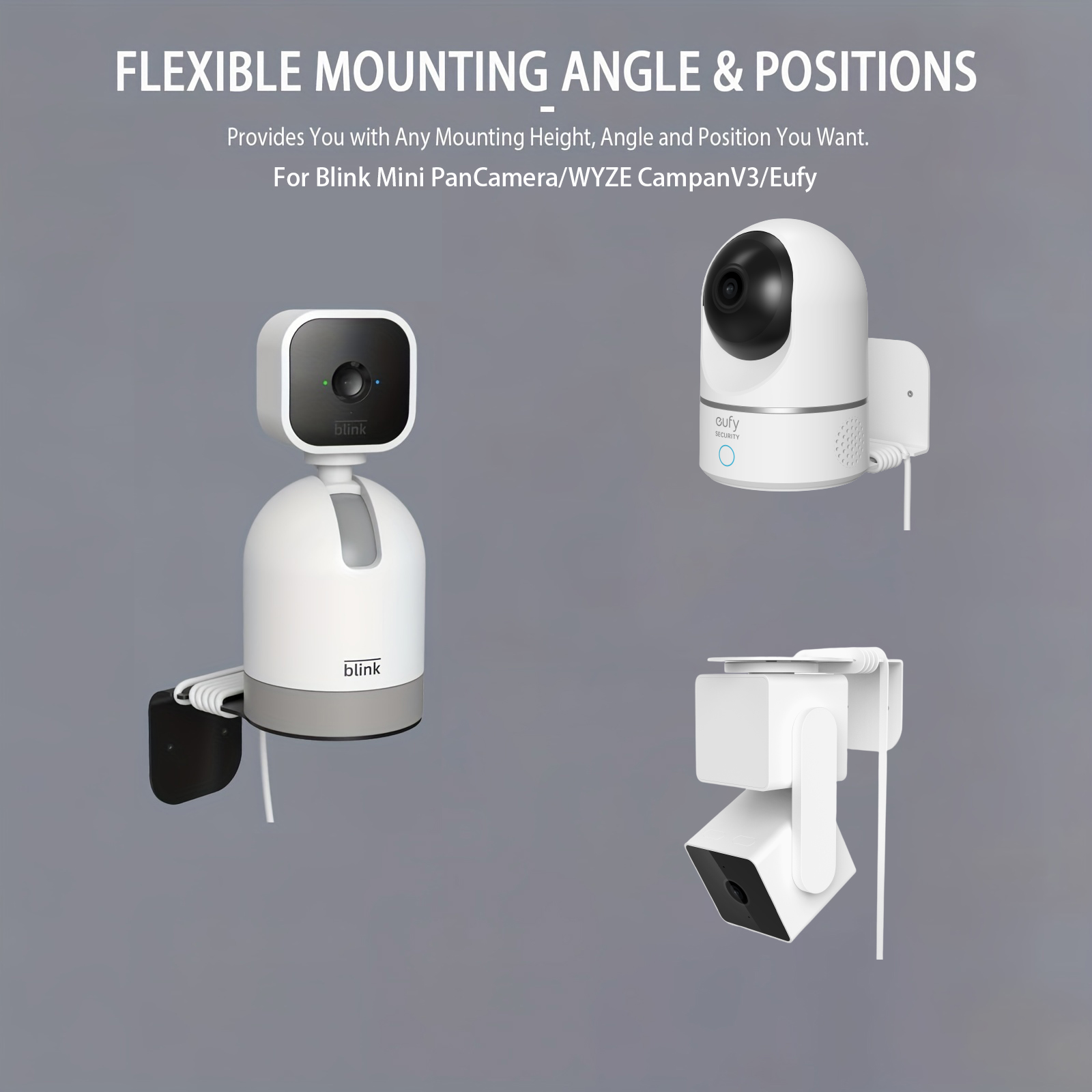 Geschikt voor Blink Mini PanCa - Eufy Camera E220 recensie en prijs